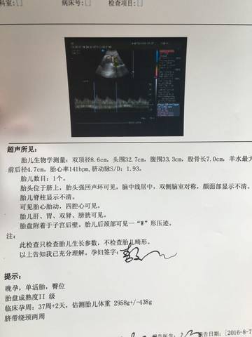 journal_insert_pic_546316804