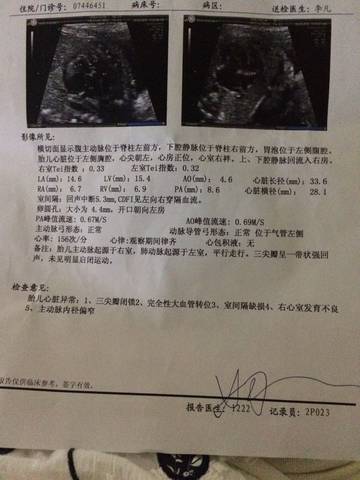 journal_insert_pic_547017333