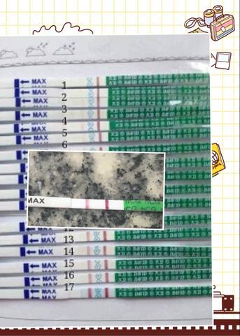 journal_insert_pic_548745981