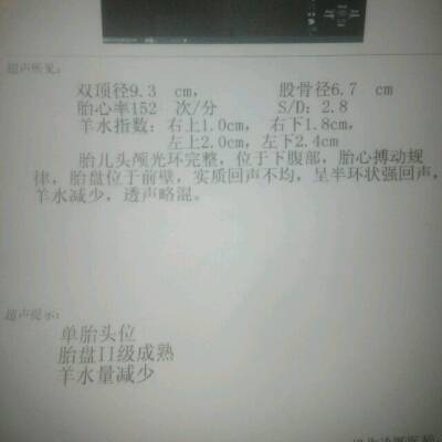 journal_insert_pic_550292158