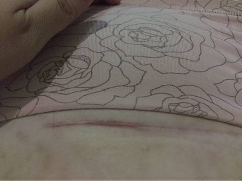 journal_insert_pic_552070421