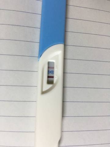journal_insert_pic_557377984