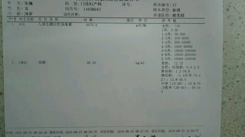 journal_insert_pic_557305493