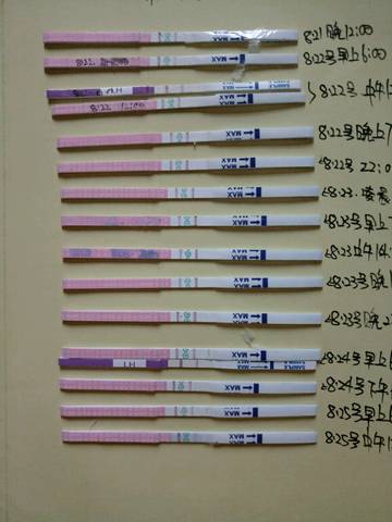 journal_insert_pic_558412557