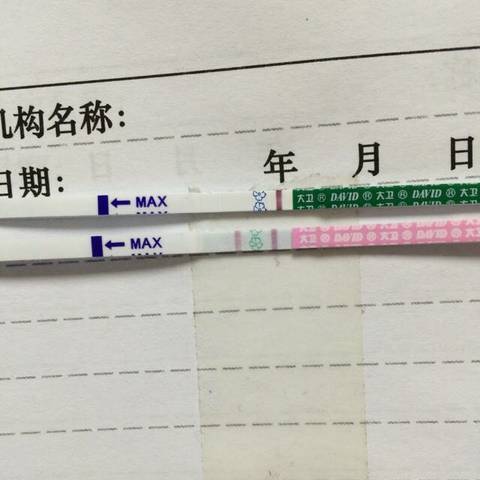 journal_insert_pic_559423199