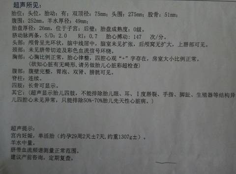 journal_insert_pic_559682251
