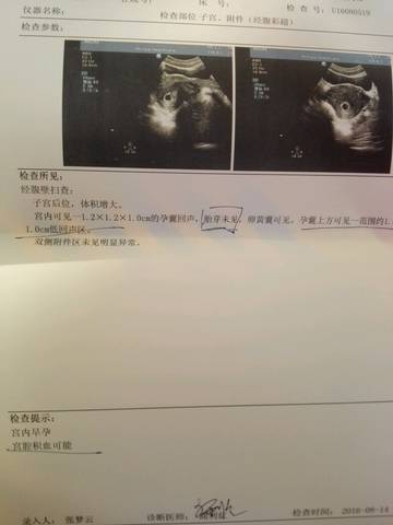 journal_insert_pic_559925277