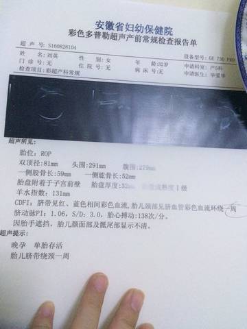journal_insert_pic_560495856