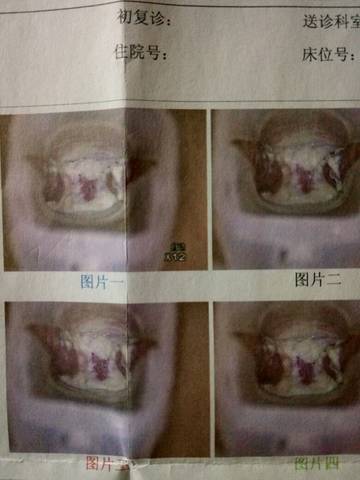 journal_insert_pic_562168005
