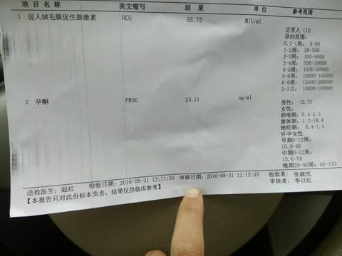 journal_insert_pic_562476596