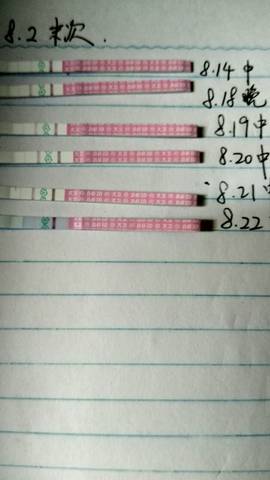 journal_insert_pic_563604198