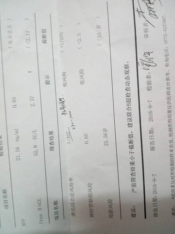 journal_insert_pic_566951824