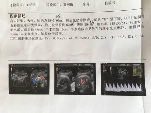 journal_insert_pic_567351149