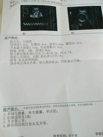 journal_insert_pic_567473390