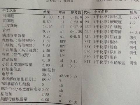 journal_insert_pic_568213739