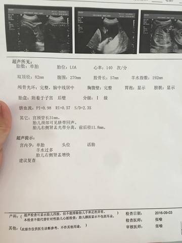 journal_insert_pic_567951164