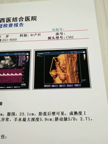journal_insert_pic_568522232