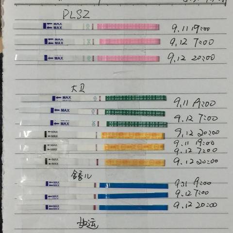journal_insert_pic_569307578