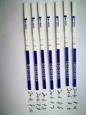 journal_insert_pic_569250238
