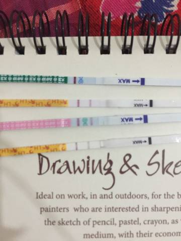 journal_insert_pic_569294044