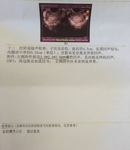 journal_insert_pic_569055885