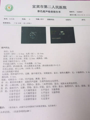 journal_insert_pic_569877580