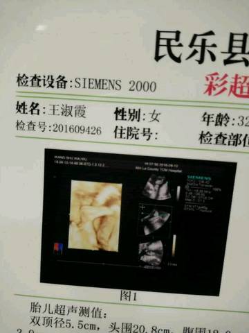 journal_insert_pic_570589234