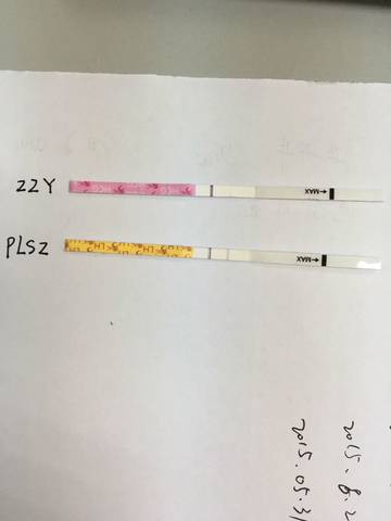 journal_insert_pic_570203796
