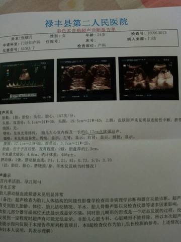 journal_insert_pic_570977874
