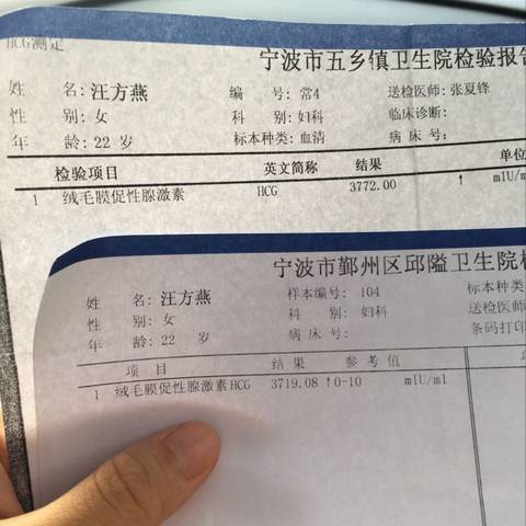 journal_insert_pic_572116818