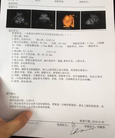 journal_insert_pic_574476267