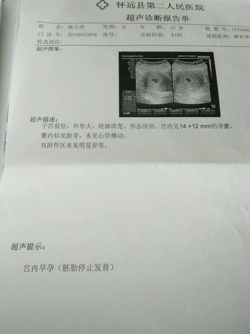 journal_insert_pic_574478066