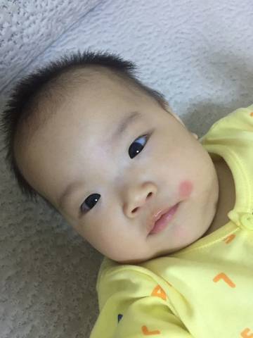 journal_insert_pic_575042358