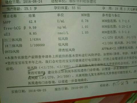 journal_insert_pic_575743060