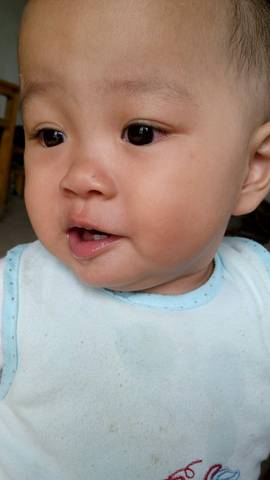 journal_insert_pic_576225305