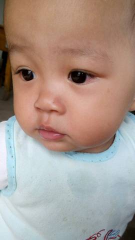 journal_insert_pic_576225326