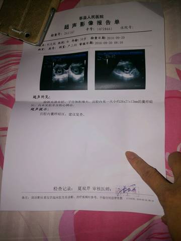 journal_insert_pic_576344563