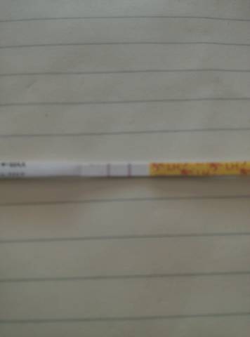 journal_insert_pic_576408276