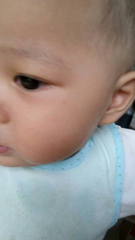 journal_insert_pic_576225316