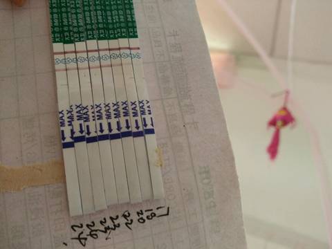 journal_insert_pic_576831637
