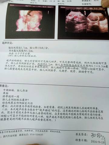 journal_insert_pic_577427686