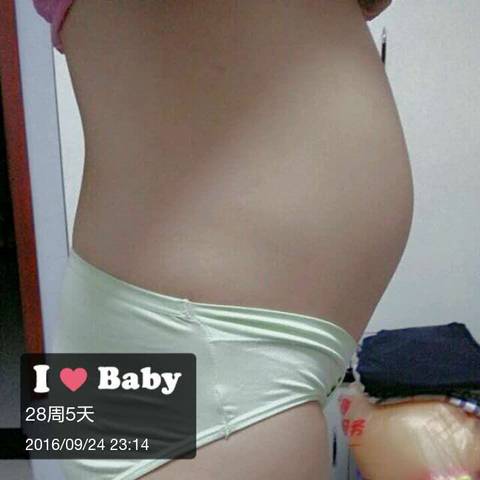 journal_insert_pic_577262059