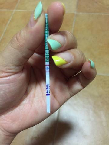 journal_insert_pic_577331439
