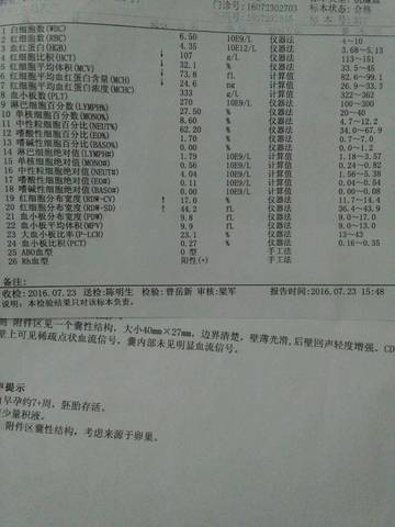 journal_insert_pic_577592736