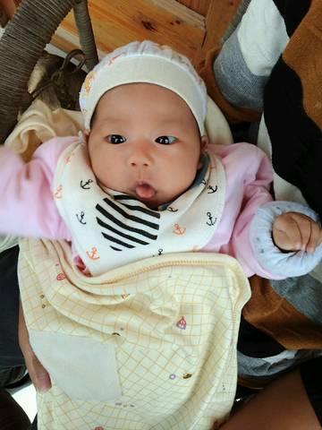 journal_insert_pic_577529916