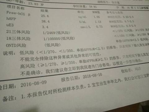 journal_insert_pic_578388844