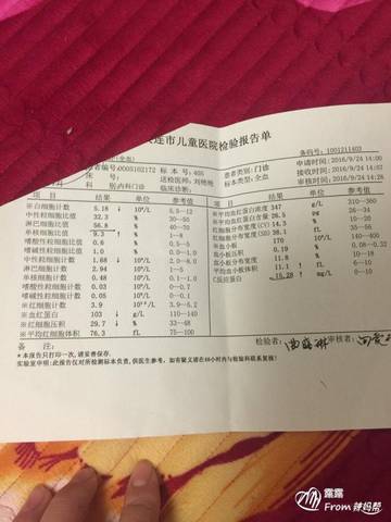 journal_insert_pic_578130186