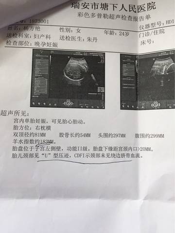 journal_insert_pic_578631378