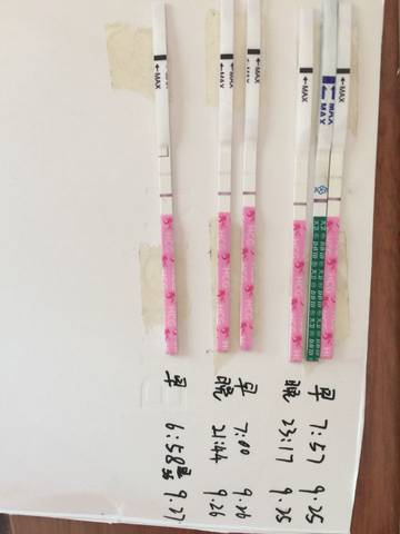 journal_insert_pic_578541758