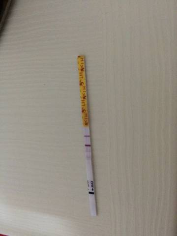 journal_insert_pic_578526710